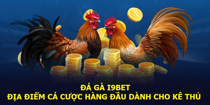 Đá gà i9bet và các nhà cung cấp cần biết