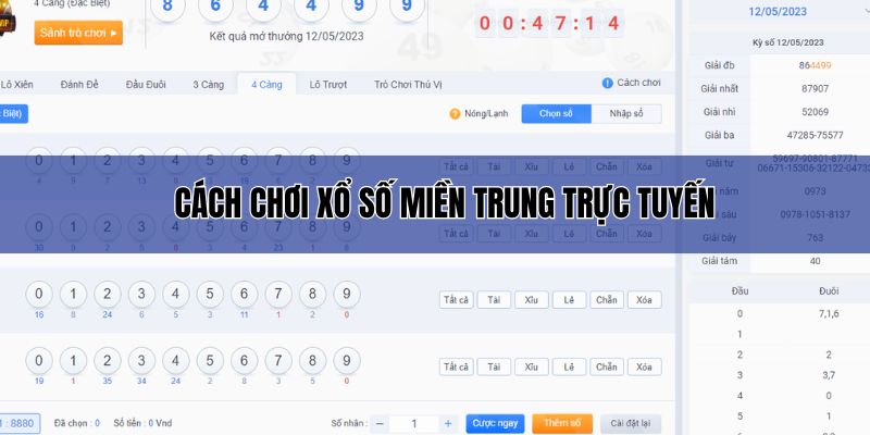 Cách chơi XSMT tại nhà cái từ A - Z cho người mới