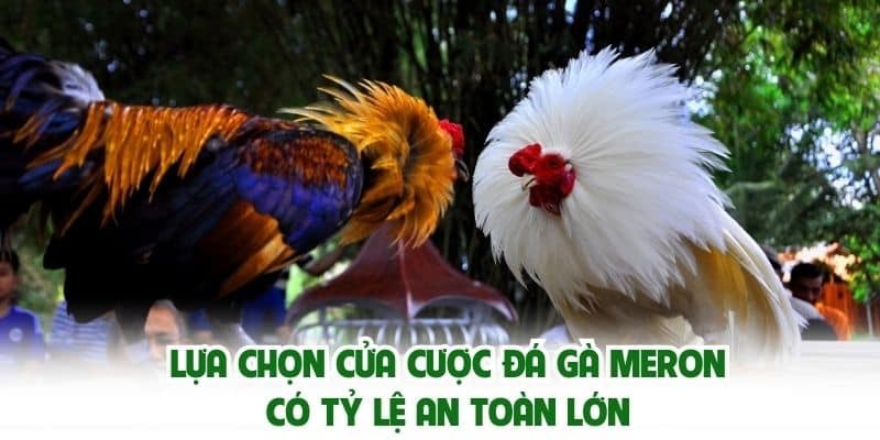 Đá gà 78WIN sở hữu nhiều sảnh cược nổi bật như S128 SV388 Thomo và CockFight